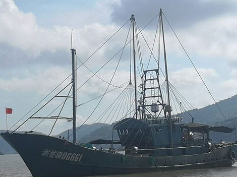Paseos en barco de acabado de vehículos Nova